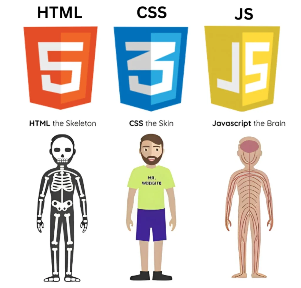 HTML چیست و چه تفاوتی با JavaScript دارد؟